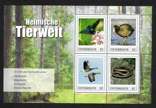 Österreich 2021: Heimische Tierwelt, Holzbiene, Blindschleiche, Graugans, ...**