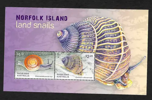 Norfolk Inseln 2021: Norfolk Island, land snails, Land-Schnecken, postfrisch