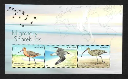 Australien 2021: Migratory Shorebirds, wandernde Küstenvögel, postfrisch