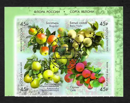 Russland 2019: Früchte - Äpfel, Apfelbäume, gestempelt