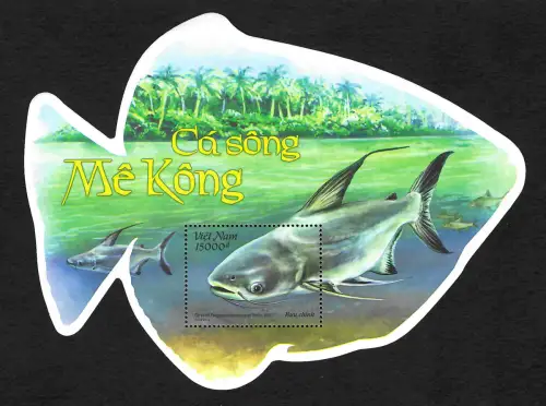 Vietnam 2019: Ca song - Me Kong, Flussfische, Fisch-Blockform, postfrisch