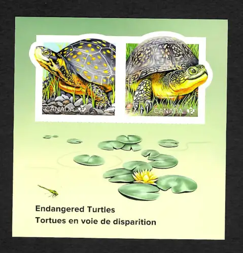 Canada 2019: Turtles, Schildkröten, postfrisch