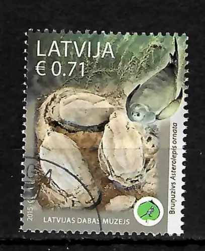 Lettland 2015: Naturhistorisches Museum in Riga, gestempelt