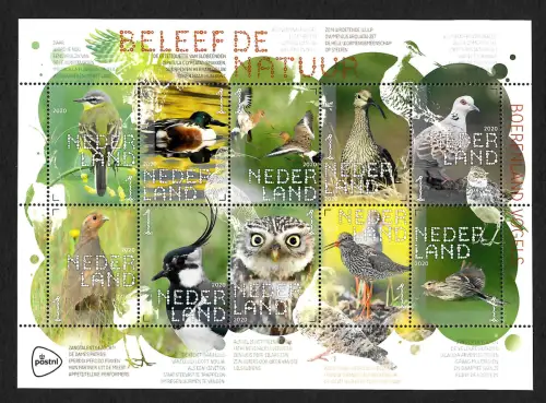 Niederlande 2020: Beleef de Natuur, Vögel, Eulen, Tauben, Ende, ... postfrisch