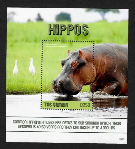 Gambia 2020: Hippos - Nilpferd, postfrisch
