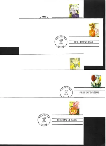 USA forever 2016: Botanical Art, Botanische Kunst, 10x FDC