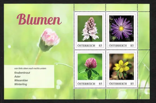 Österreich 2022: Blumen: Knabenkraut, Aster, Wiesenklee, Winterling, postfrisch