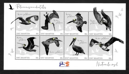 Sint Maarten 2022: Nationalvogel Pelikan, Kleinbogen postfrisch