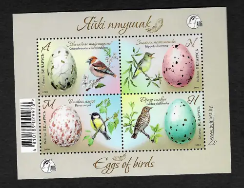Belarus 2020: Vogeleier, Eggs of birds, postfrisch