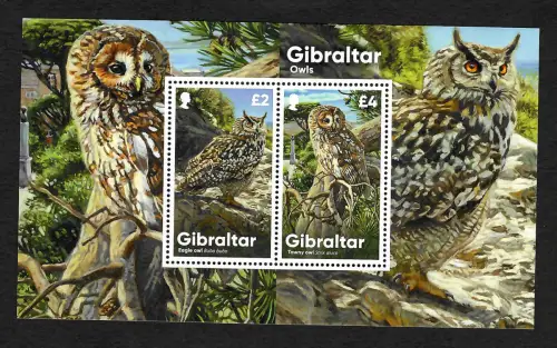 Gibraltar 2021: Eulen aus Gibraltar, Block postfrisch