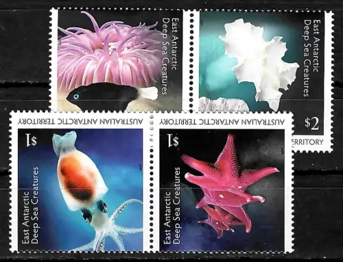 AAT 2017: Tiefseewesen, Seesterne, Tintenfische, ... 2x2 Briefmarken, postfrisch
