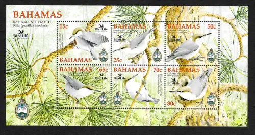 Bahamas 2023: BirdLife, Bahama Nuthatch, Sitta insularis, Block #107, postfrisch