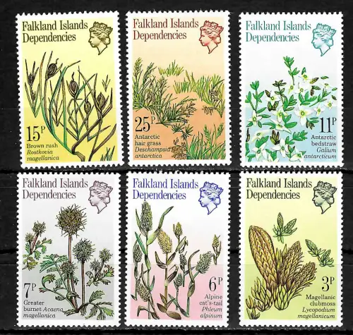 Falkland Inseln: Pflanzen, 6 Briefmarken postfrisch, #93-98