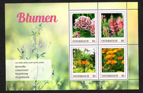 Österreich 2019: Blumen: Bartnelke, Löwenmaul, Ringelblume, Kaiserkrone, **