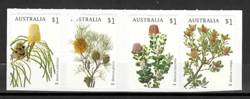 Australien 2019: Banksien, postfrisch