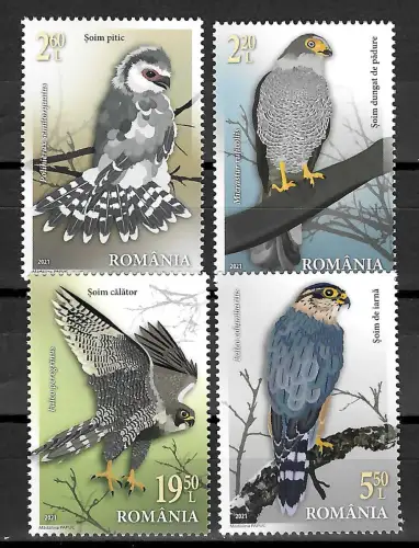 Rumänien 2021: Falken - Vögel, postfrisch