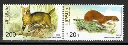 Berg-Karabach 2022: Fauna, Felis Chaus, Mustela Nivalis, postfrisch