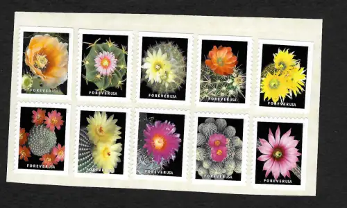 USA forever 2019: Kaktus Blumen, 10x postfrisch