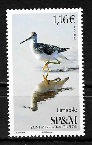 St. Pierre et Miquelon 2020: Watvögel, Limicole, postfrisch