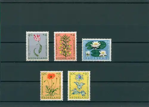 NIEDERLANDE 1960 Nr 746-750 postfrisch (201800)