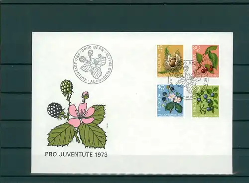 SCHWEIZ 1973 Ersttagsbrief (202250)