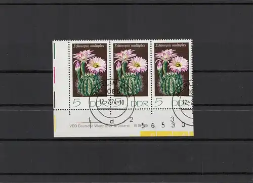 DDR 1974 Nr 1922 DV gestempelt (212687)