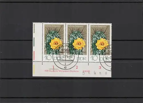 DDR 1974 Nr 1923 DV gestempelt (212688)