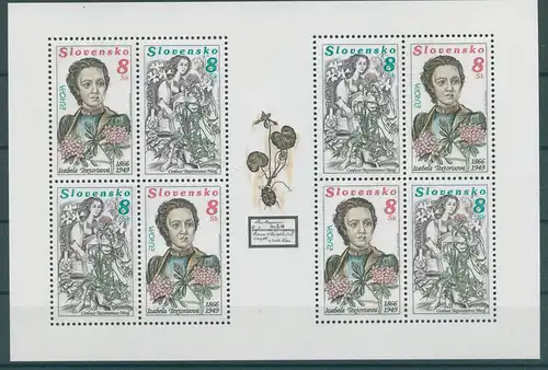 SLOWAKEI 1996 Nr 250-251 KB postfrisch (229917)