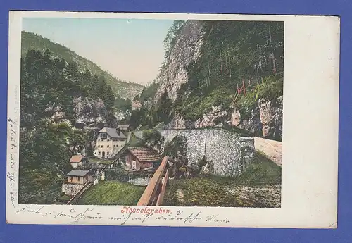 AK Nesselgraben bei Bad Reichenhall, gelaufen 1913