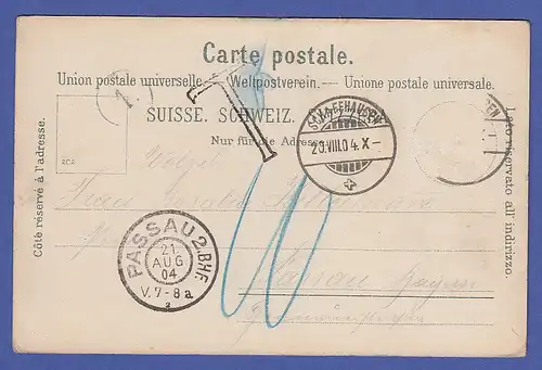 AK Schweiz Gruß vom Rheinfall 1904, gelaufen, nachtaxiert, Briefmarke abgefallen