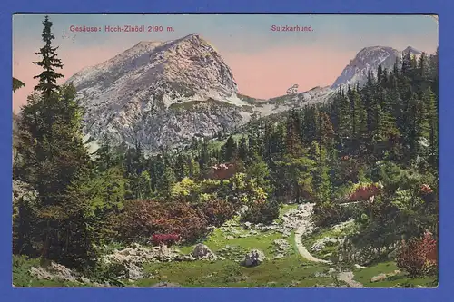 AK Österreich Gesäuse Hoch-Zinödl 2190 m. Sulzkarhund 1914