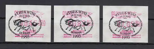 Südafrika 1993 Sonder-ATM e'Thekwini Durban VS-Ausgabe Satz 45-85-105  So.-O