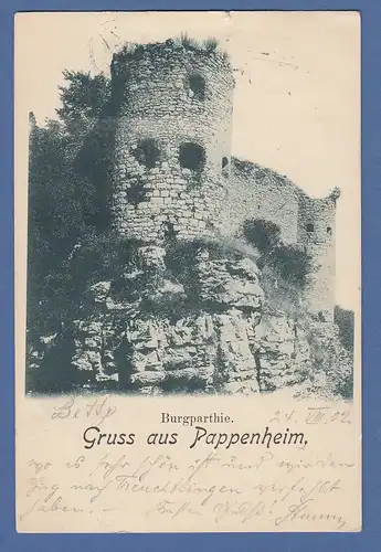 AK Bayern Gruss aus Pappenheim Burgpartie gelaufen 1902 nach München 