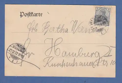AK Hamburg Schwäne auf der Alster gelaufen 1902 in Hamburg