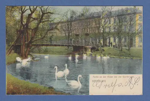 AK Hamburg Schwäne auf der Alster gelaufen 1902 in Hamburg