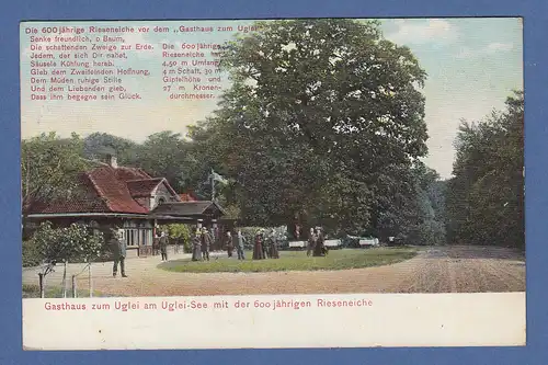 AK Gasthaus zum Uglei am Uglei-See m. der 600 jährigen Rieseneiche gelaufen 1906