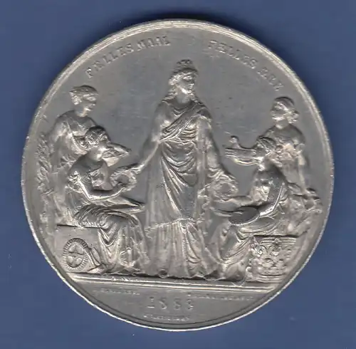 Medaille Dänemark Industrie Landwirtschaft und Kunstausstellung Kopenhagen 1888