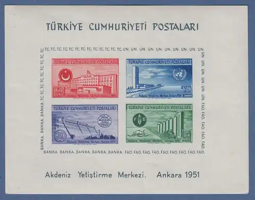 Türkei 1952 UNO-Tagung Blockausgabe Mi.-Nr.  Block 4 **