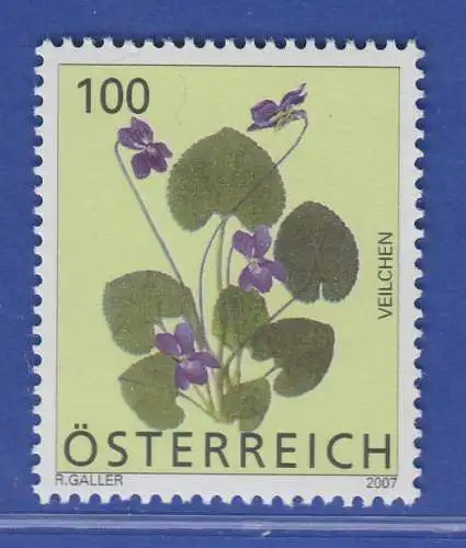 Österreich 2007 Freimarke Blumen Duftveilchen  Mi.-Nr. 2652