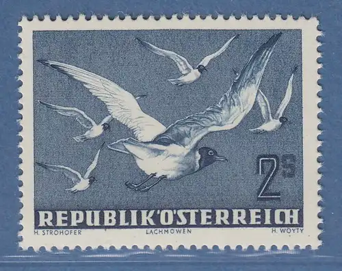 Österreich 1950 Freimarke Vögel 2S Lachmöven Mi.-Nr. 956
