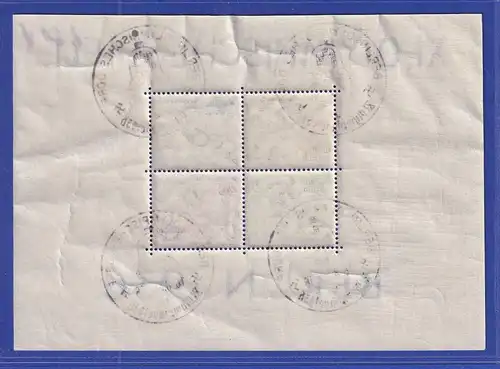 Deutsches Reich 1936 Olympiablock-Paar Mi.-Nr. Block 5 und 6 gestempelt