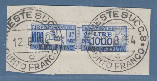 Triest Zone A 1948 Paketmarke 1000 Lire Mi.-Nr. 26 gestempelt auf Briefstück