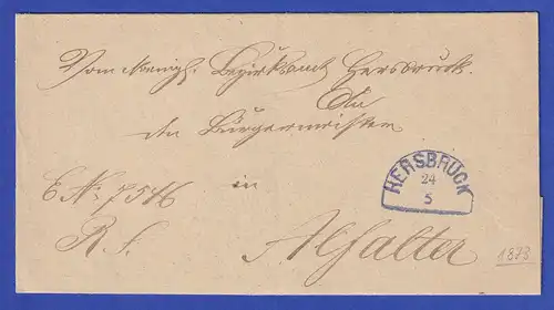 Bayern Dienstbrief mit Halbkreis-Stempel HERSBRUCK 1873