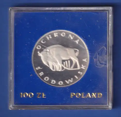 Polen 1977 Silbermünze 100 Złoty - Wiesent PP in Original-Kapsel 16,5gAg625