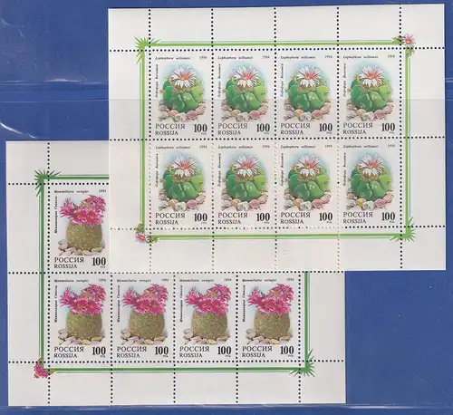 Russland 1994 Kakteen Mi.-Nr. 364-365 KLEINBOGENSATZ postfrisch **