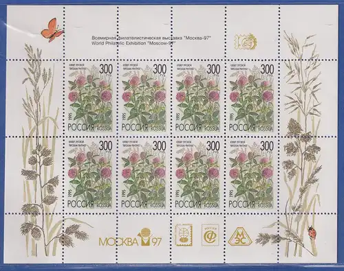 Russland 1995 Wiesenklee Mi.-Nr. 437 KLEINBOGEN mit Zudruck **