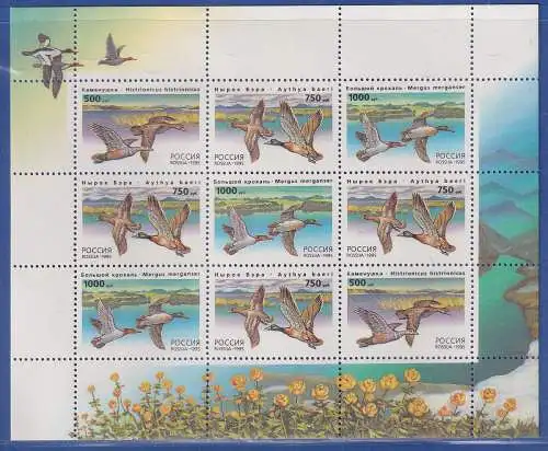 Russland 1995 Enten Mi.-Nr. 462-464 KLEINBOGEN postfrisch **