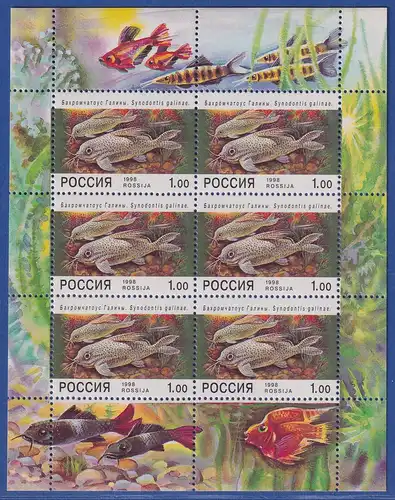 Russland 1998 Zierfische Mi.-Nr. 648 KLEINBOGEN **