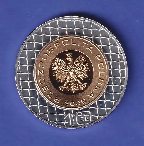 Polen Silbermünze 10 Złotych Fußball-Weltmeisterschaft 2006 teilvergoldet PP