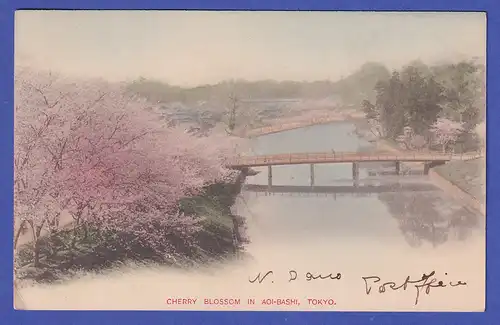 Japan 1901 old postcard Cherry blossom mailed from TOKIO to Germany 